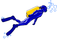 logo pot�pa�